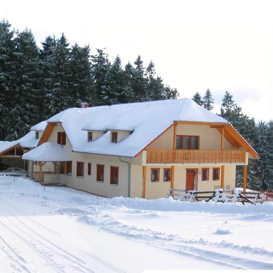 Penzion Patrik Mikulcin Vrch Vapenice Exterior foto